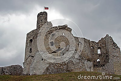 Ruined medieval castle with tower in Mirow Stock Photo