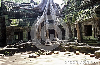 Ruined Temple, Cambodia Stock Photo