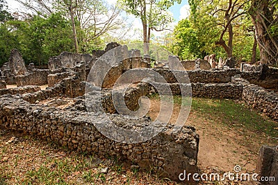 Ruins of ancient african city Gede Gedi in Watamu, Kenya Stock Photo