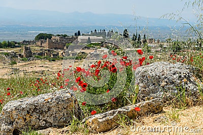 Ruins of the ancient Greco Roman city Hierapolis with blooming poppy flowers, Pamukkale, Turkey. Nature landscape Stock Photo