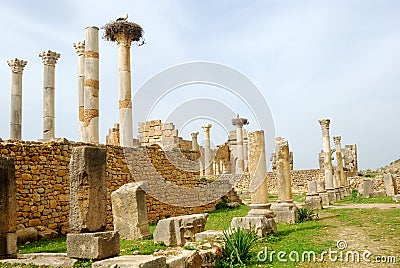 Ruins of the Capitol, Volubilis, Morocco Stock Photo