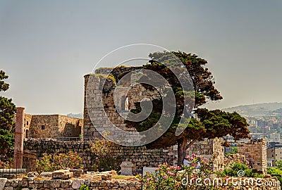 Ruins of crusaders fort in Byblos, Jubayl, Lebanon Stock Photo