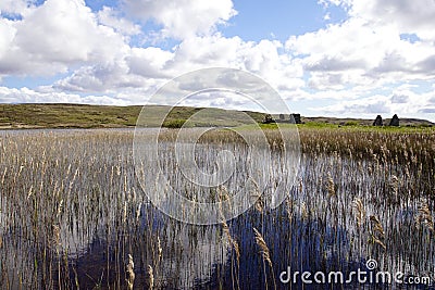The ruins of Finlaggan and Loch Finlaggan on the Isle of Islay Stock Photo