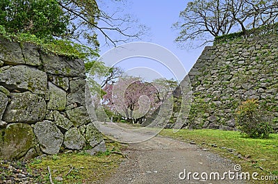 Ruins of Fukuoka castle, Japan. Editorial Stock Photo