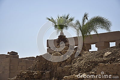 Ruins of Karnak Temple complex with palm trees (ancient Thebes). Luxor, Egypt, museum, travel. Stock Photo