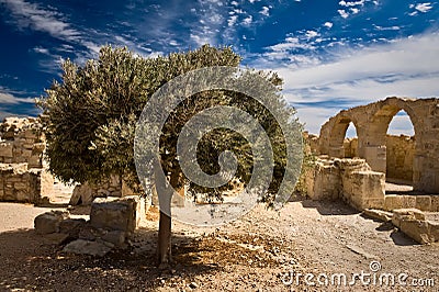 The ruins of Kourion. Cyprus Stock Photo