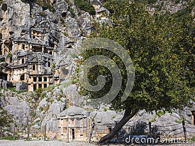 Ruins of Myra Ancient City and big fruit tree in Demre, Turkey. Ancient rock tombs in Lycia region Stock Photo