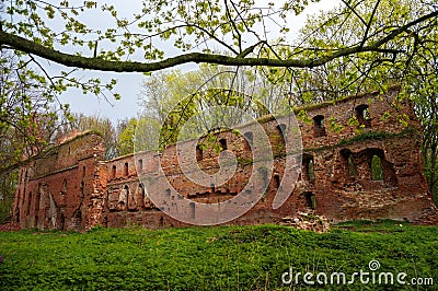 The ruins of the old castle made of brick in a clearing in the woods Stock Photo