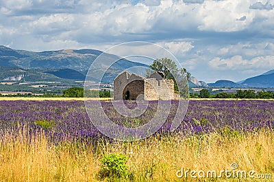 Ruins of an old rustic stone house on a lavender field against the backdrop of mountains and a beautiful sky with clouds. Editorial Stock Photo
