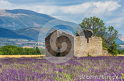 Ruins of an old rustic stone house on a lavender field against the backdrop of mountains and a beautiful sky with clouds. Editorial Stock Photo