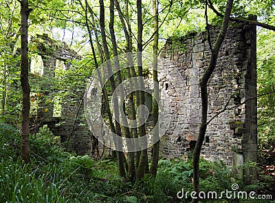 Ruins of staups mill in jumble hole clough in woodland Stock Photo