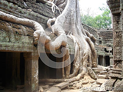 The ruins of Ta Prohm, part of the ancient Angkor Wat Temple complex in Siem Reap, Cambodia Editorial Stock Photo