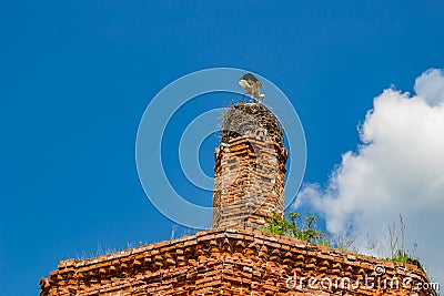 Ruins of the tent church of St. John the Evangelist of the 18th century, Russia Stock Photo