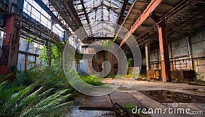 ruins of a very heavily polluted industrial factory, industrial series. Stock Photo