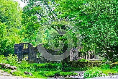 Ruins of Wycoller Hall, trees and stream Editorial Stock Photo
