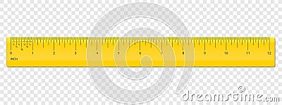 Ruler inch scale vector plastic measurement Vector Illustration