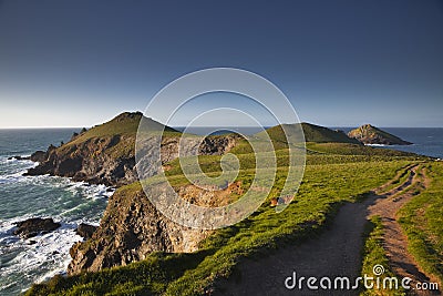 The Rumps Stock Photography | CartoonDealer.com #23448176