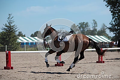 Runaway horse Stock Photo