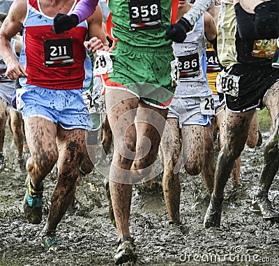 Runners racing in the mud for cross country Stock Photo