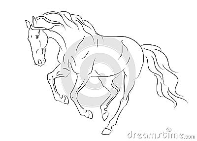 Running andalusian horse sketch Vector Illustration