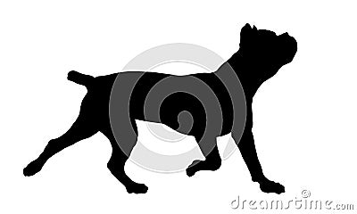 Running cane corso italiano puppy. Italian corso dog or italian mastiff. Black dog silhouette. Pet animals. Isolated on Vector Illustration