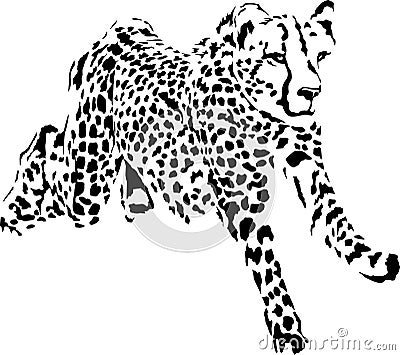 running cheetah Vector Illustration