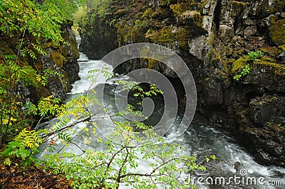 Running creek in Rogue Gorge Stock Photo