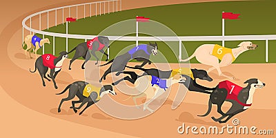 Running dog of different breed in coursing dress. Dog race concept. Vector Illustration