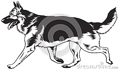 Running dog, German shepherd run Vector Illustration