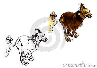 Running dog illustration Cartoon Illustration