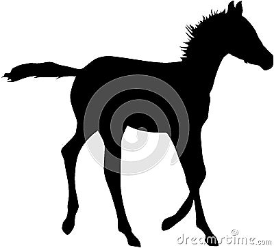 Running Foal Silhouette Stock Photo