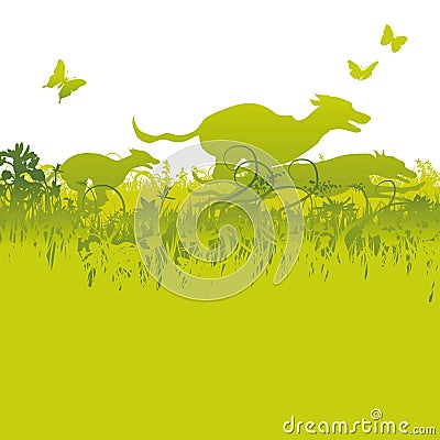 Running Greyhounds on a meadow Vector Illustration