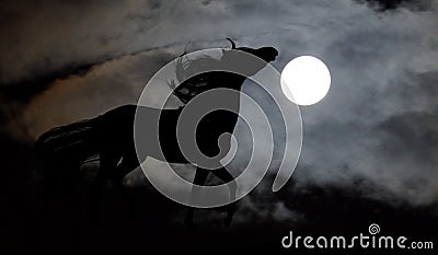 Full Moon Horse Stock Photo