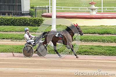 Running horse with rider on racecourse Editorial Stock Photo