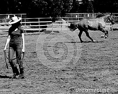 Running horse Editorial Stock Photo