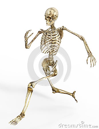 Running human skeleton Stock Photo