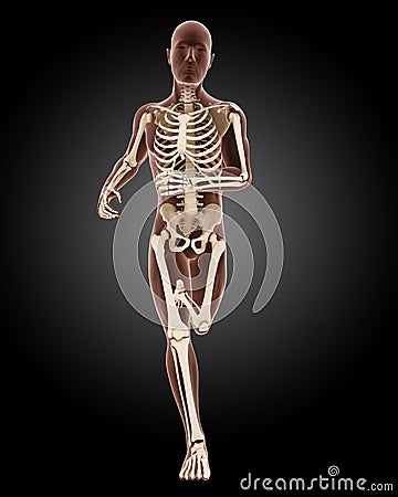 Running male medical skeleton Stock Photo