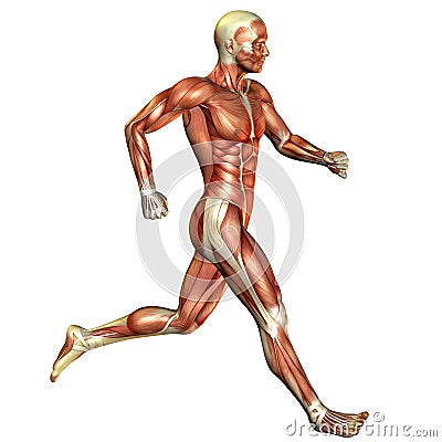 Running muscle man Stock Photo