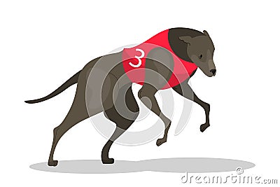 Running purebred dog in coursing dress. Dog racing concept. Vector Illustration