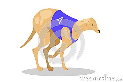 Running purebred dog in coursing dress. Dog racing concept. Vector Illustration