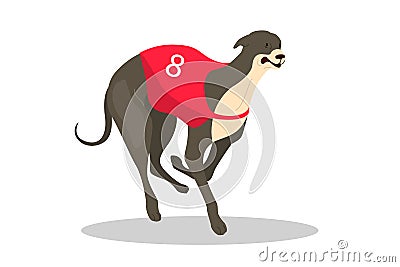 Running purebred dog in coursing dress. Dog racing concept. Vector Illustration