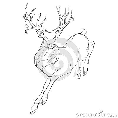 A running red deer stag BW Vector Illustration