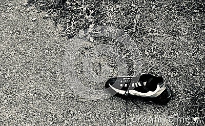 Single sports shoe isolated on pavement Stock Photo