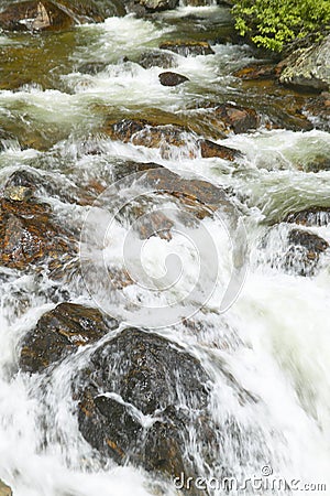 Running water beneath Pines as creek runs through Payette national Forest near McCall Idaho Stock Photo