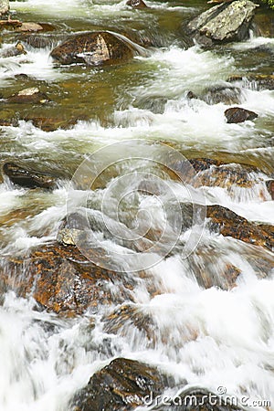 Running water beneath Pines as creek runs through Payette national Forest near McCall Idaho Stock Photo