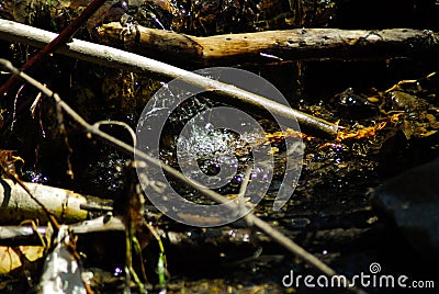 Running water over rocks, Bubbles sun shinning Stock Photo