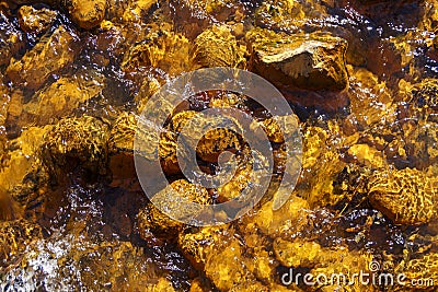 Running water and stones background in babbling stream on sunny spring day Stock Photo