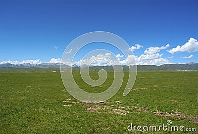 Ruoergai Grassland Stock Photo