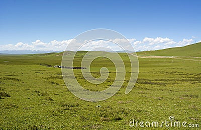 Ruoergai Grassland Stock Photo