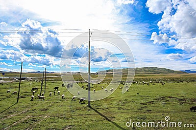Ruoergai Grassland, Xiahe, Gannan, China Stock Photo
